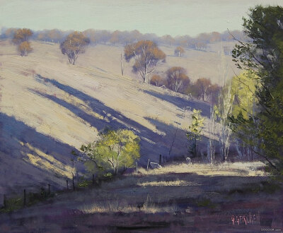 summer_shadows_bathurst_by_artsaus-d5d63rv.jpg