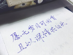 愿无岁月可回首，且以深情共白头。  手写   句子   潇潇手写