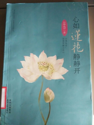 《心如莲花静静开》