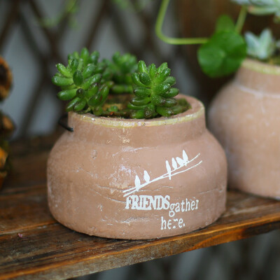  粗陶花盆透气性好，自然，是种植多肉植物和迷你小植物的陶瓷花盆中，非常好的选择。
