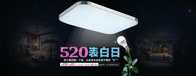 520表白日