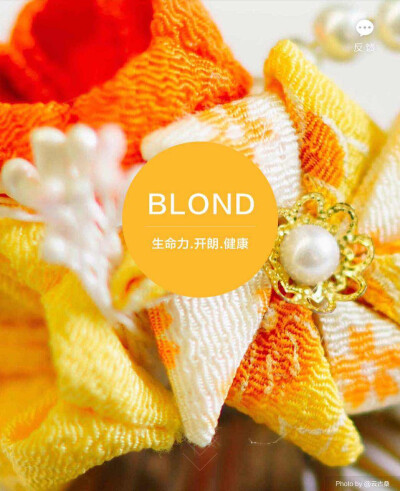 淘宝色彩购——BLOND（金发）