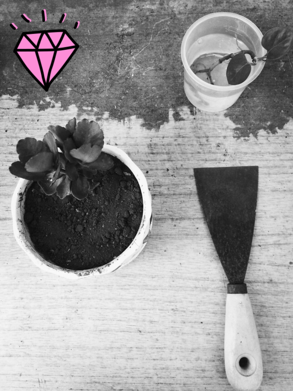 #倒计时57天#两天的月考结束，一转头就能看见她的两天结束，本周weekday结束