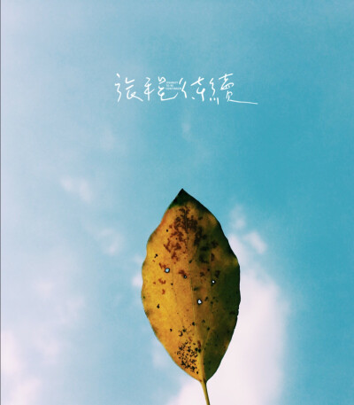 体重马上就要变成两位数了呢，回到初中的状态。想起当年告诉别人说，我们什么都没有，谈何失去，是啊，我们什么都没有，所以只能一直得到。