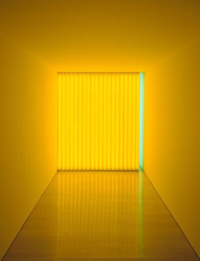 Dan flavin