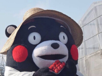 kumamon 熊本熊 这筐草莓送给你呀 亲爱哒～