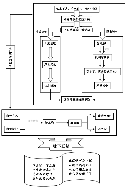 水盐平衡的调节