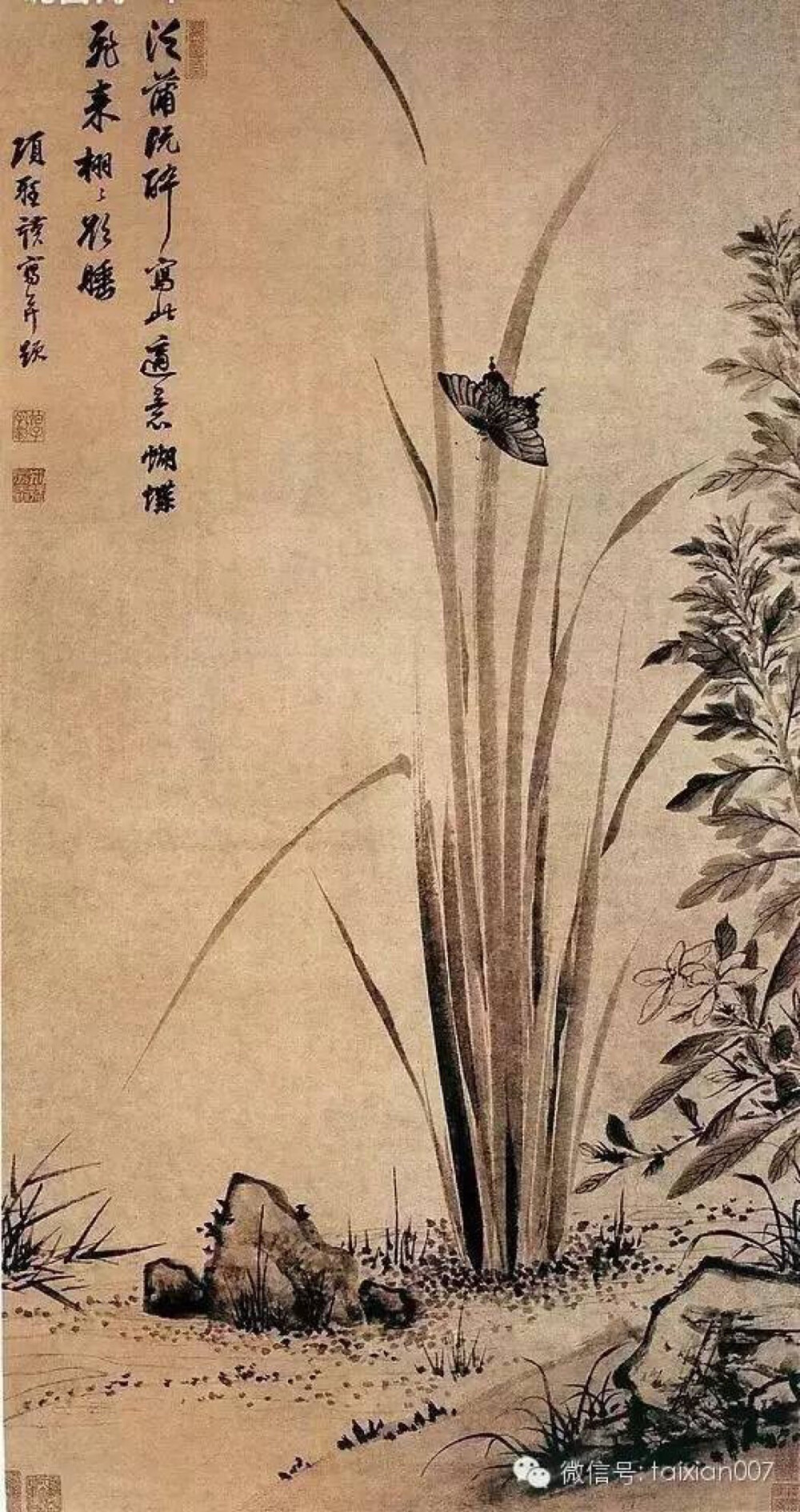 菖蒲水墨画