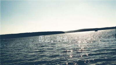 矢量