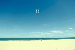 矢量