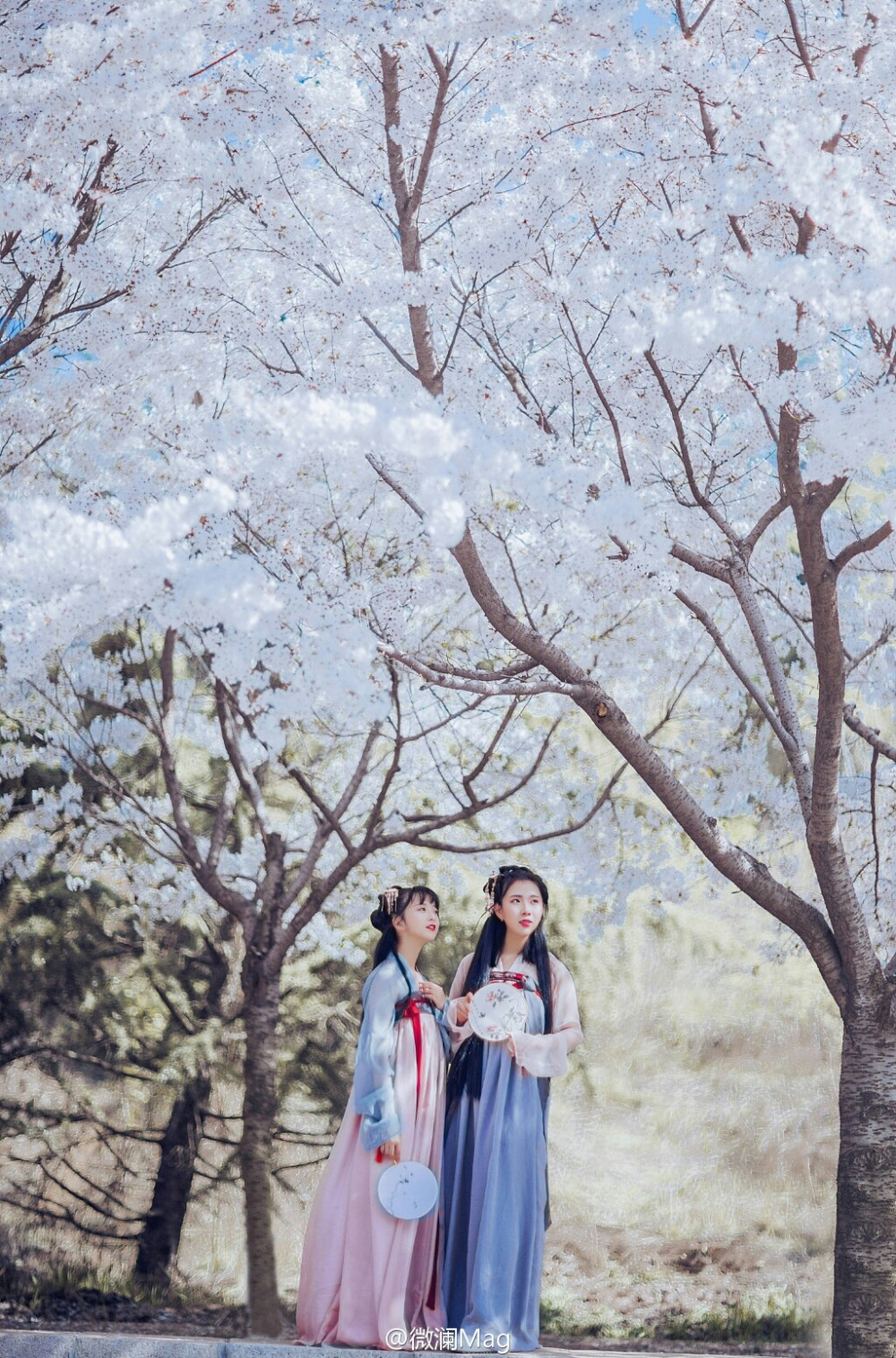 当时云樱雪成羽，谁见浮梦醉芳华。
出镜@-N1cky- & 小花
汉服@寒山渡 妆造@水0-0獭
一组淘宝 #微澜作品# #青岛约片#
抄送@古风卷 @古风圈网站 @檀烧 @汉服网 @汉服村
http://t.cn/8FCedsW