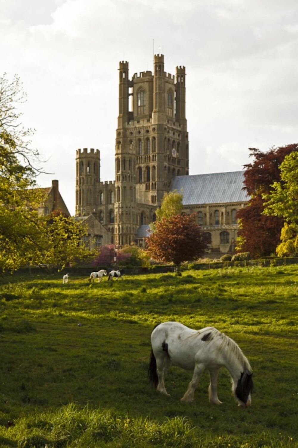 White horses at Ely Cathedral . England (by Kaeurialias)。英国伊利镇伊利大教堂，英国大型哥特式教堂之一，始建于12世纪。整个小镇是依托教堂建立的，大部分镇上居民是为伊利大教堂工作。鲜有游客专门来此参观教堂，不过如果要去剑桥的话，顺路来一趟也是个不错的选择，整点时还有团队登顶的活动，在教堂顶端可以看到剑桥。