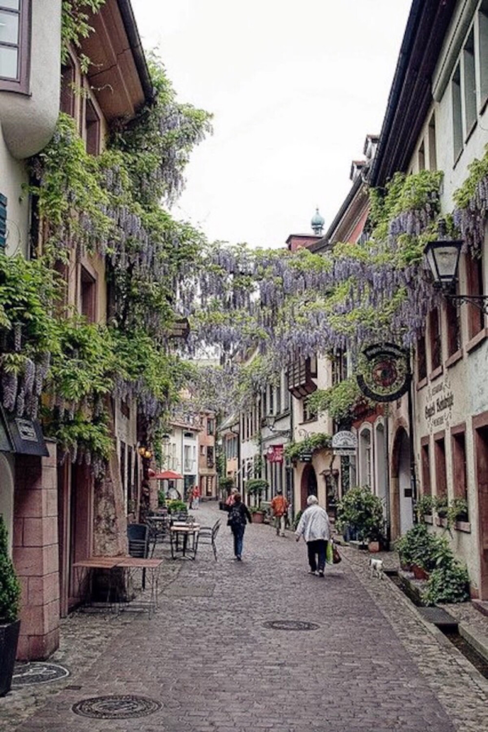 Freiburg im Breisgau, Baden-Württemberg, Germany。弗莱堡，位于德国西南边陲、靠近法国和瑞士，是德国巴登-符腾堡州布赖施高县的一座城市，位于黑森林南部的最西端。很多人认为弗莱堡是德国最温暖，阳光最灿烂的城市。也是德国最古老也是最具旅游吸引力的城市之一。