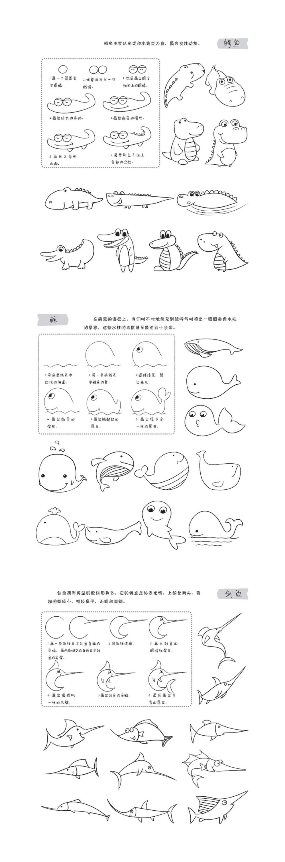 简笔画 儿童画 教程 涂鸦