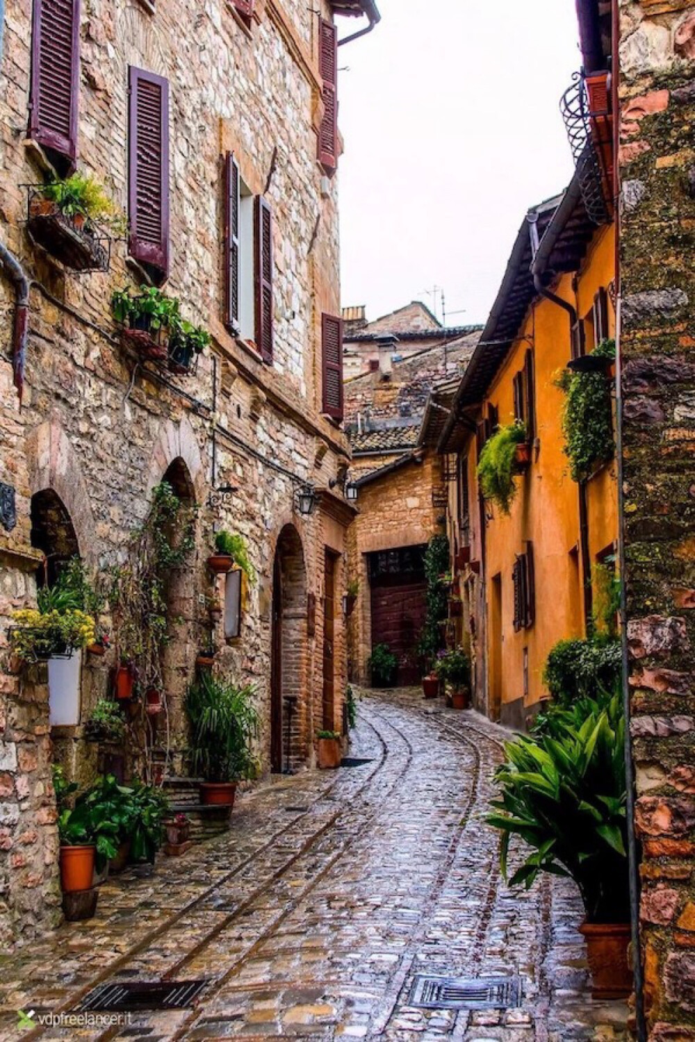 Spello, Umbria, Italy。意大利翁布里亚斯佩罗。有着田园诗般的乡村和山野，风景如画的翁布里亚被誉为“意大利的绿色心脏”。而斯佩罗本是非常素朴的中世纪小城，和翁布里亚其他城市差不多，石头是绝对的主角。斯佩罗建筑的百分之八十都是罗马时代遗迹，也就是说，斯佩罗是翁布里亚最古罗马的小镇。斯佩罗的鲜花节，意大利语是Infiorata，其实是翁布里亚小镇斯皮罗的圣体瞻礼仪式，这一天，斯皮罗的所有主要街道和广场上，都铺满干花屑组成的花毯，美轮美奂。这里的人格外喜爱鲜花，即使不是鲜花节，所有窗台阳台也都花团锦簇，方显清凉和艳丽