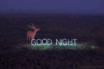 Good night：）