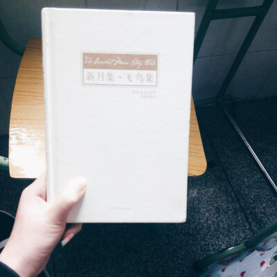 《新月集。飞鸟集》
它把我们带到了一个纯洁的儿童世界，勾起了我们对于童年生活的美好回忆。《新月集。飞鸟集》包括300余首清丽的小诗。白昼和黑夜、溪流和海洋、自由和背叛，都在泰戈尔的笔下合二为一，短小的语句…