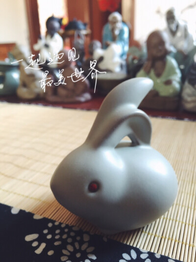 五月，愿给自己一个新的开始。一份坚持，一份执着，愿自己勇敢再勇敢。