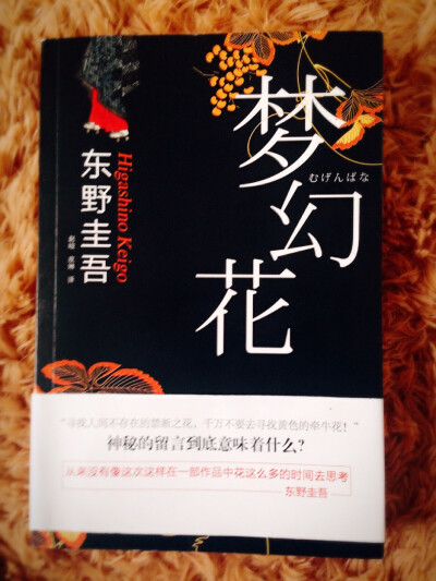 Day6 东野圭吾的梦幻花，千万不要去寻找黄色牵牛花，东野圭吾一贯的风格，总是会被感动或有所感悟。