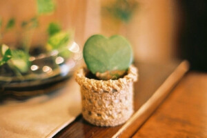 路过这样的生活