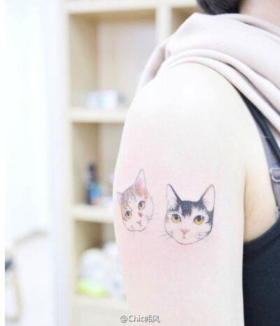 猫，纹身