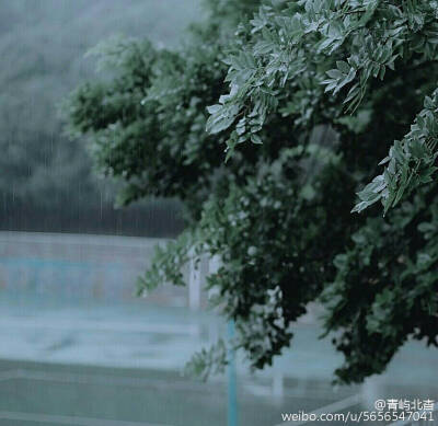 你的城市下着雨