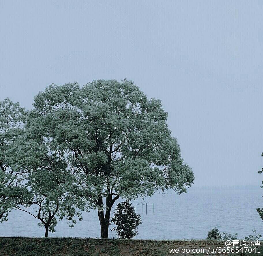 你的城市下着雨