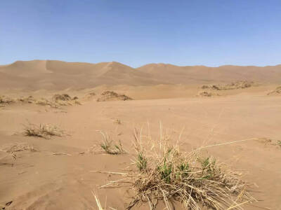 库朩塔格沙漠 新天地 新发现 新认识 新感想 