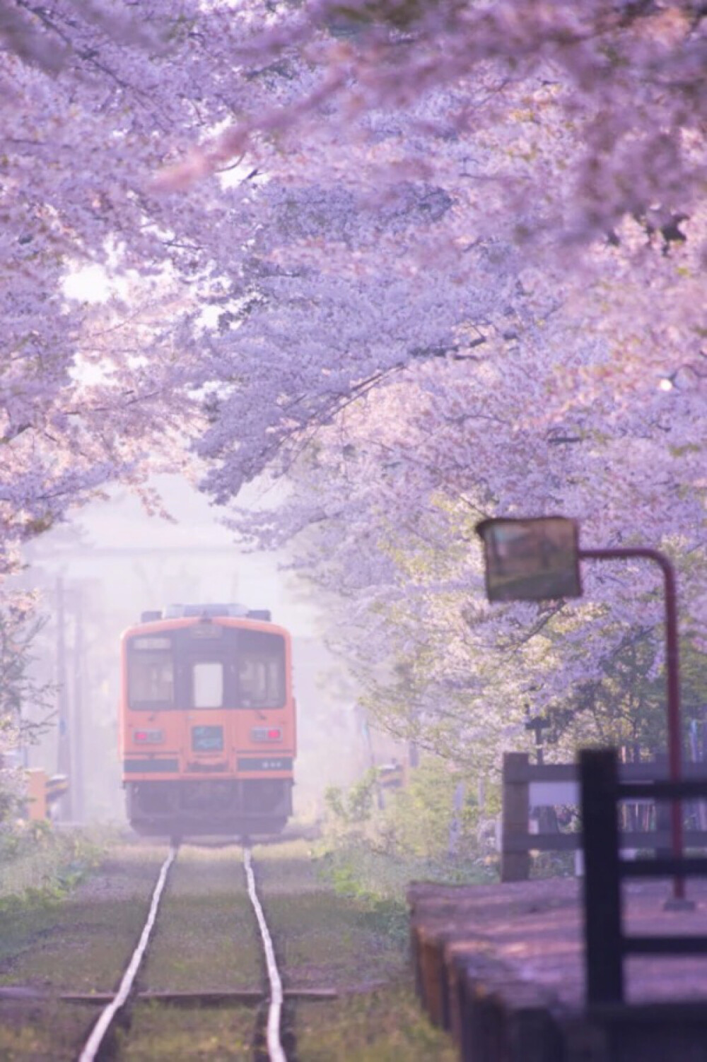 Tsugaru Railway, Aomori-ken, Japan。日本津轻铁道线，是位于日本东北青森县的一条铁道路线，由津轻铁道株式会社所经营。除了可以春天赏樱外，列车每年冬天会行驶观光列车 -“暖炉列车”（（ストーブ列車））、夏天行驶“风铃列车”、夏末秋初行驶“虫鸣列车”。