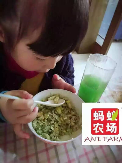 【青汁】孩子不喜欢吃蔬菜，导致得便秘，流鼻血，缺维生素啥的！这些都是因为咱们这些当大人的不合格，蔬菜小孩不吃，可以找孩子喜欢吃的富含蔬菜所有营养甚至还要营养的东西给吃么！青汁就是最好的选择，还可以做出…