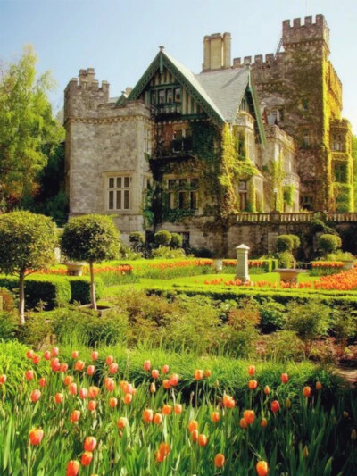 Hatley Castle, Victoria, British Columbia, Canada。海特利古堡，位于加拿大不列颠哥伦比亚省维多利亚市，属于海特利国家历史遗址公园（Hatley Park National Historic Site）内。古堡是前卑诗省督James Dunsmuir…