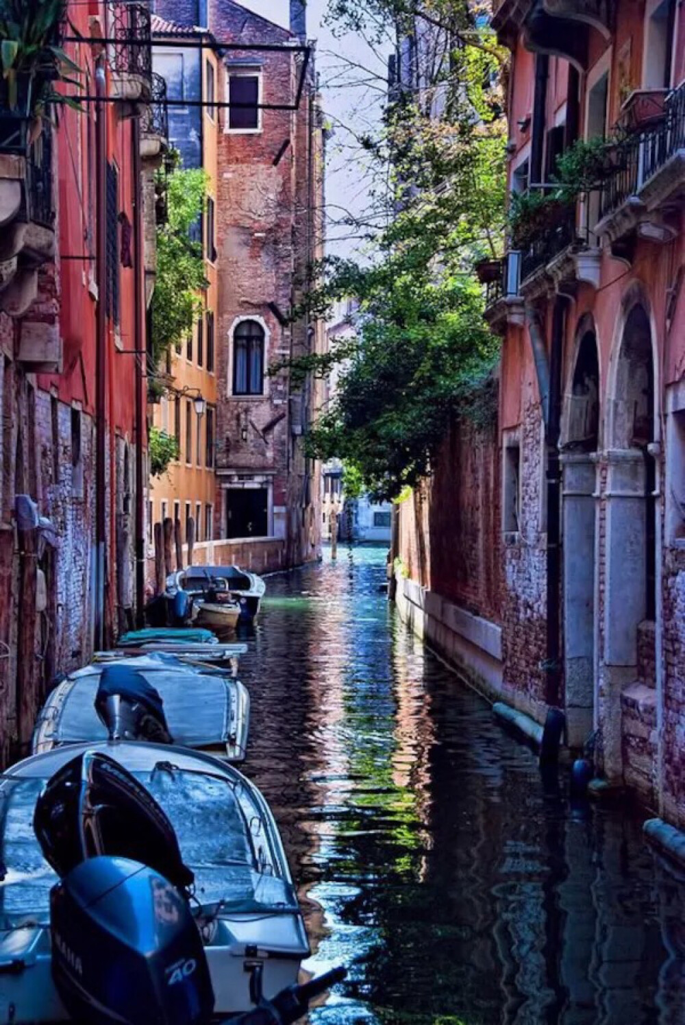 Shady Canal in Venice, Italy(by Trish Hartmann)。意大利威尼斯，並非单一座岛屿，而是由一百六十条运河分割成一百一十八座小岛的群岛，跨越运河的桥超过四百座。威尼斯的动脉“大运河”(Grand Canal)两岸，尽是水都最美丽的建筑物。富有的威尼斯商人，在大运河岸边兴建了大约一百座文艺复兴或巴洛克风格的宫殿，美不胜收。