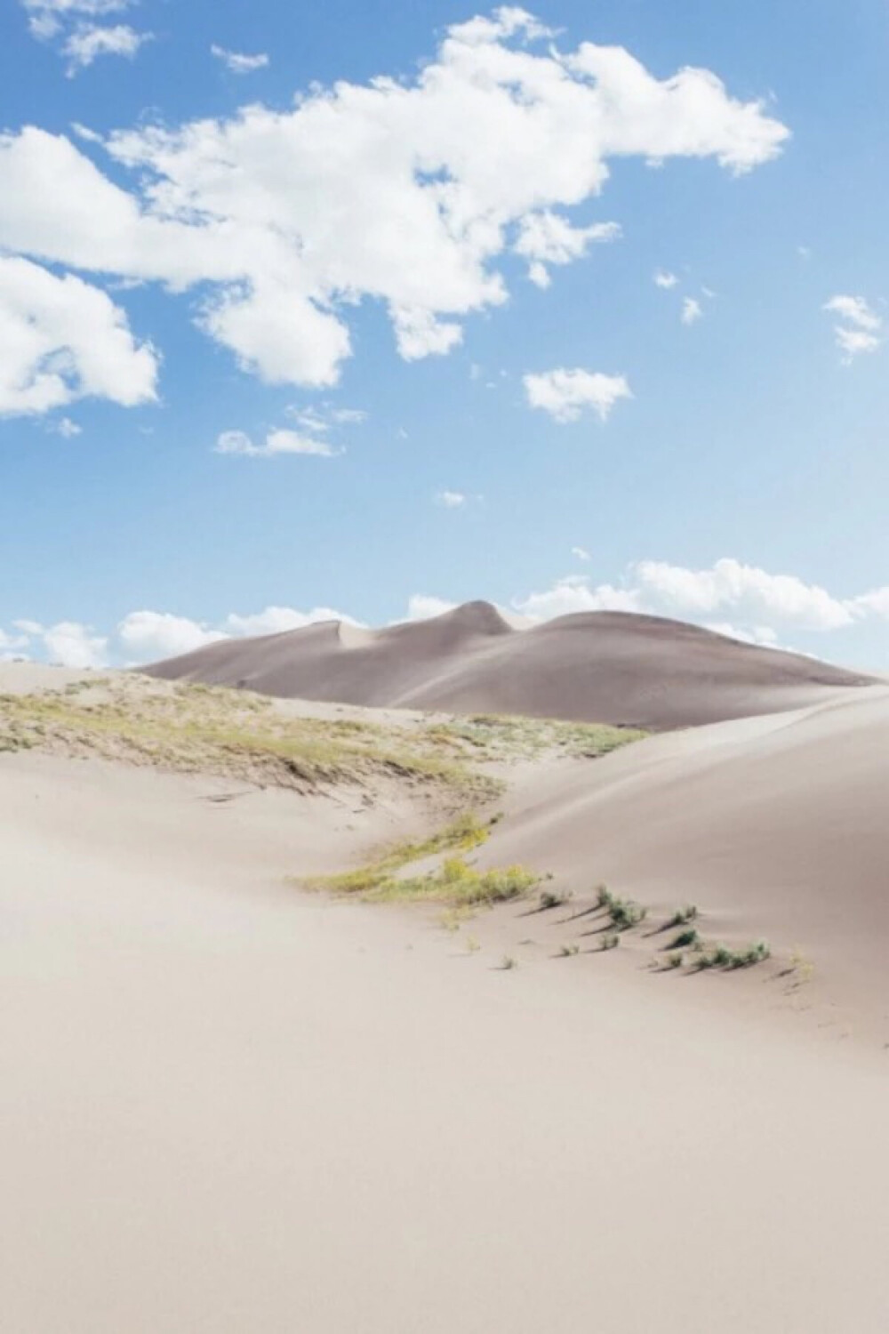 Colorado Sand Dunes, Colorado (by Ry Matthew)。科罗拉多沙漠是美国索诺兰沙漠(Sonoran Desert)的一部分。从加利福尼亚州东南部向东南延伸到墨西哥北部的科罗拉多河三角洲，长264公里，植被以沙漠灌木丛为主。西北和东部有移动沙丘，中部附近洼地有索尔顿湖(Salton Sea)。