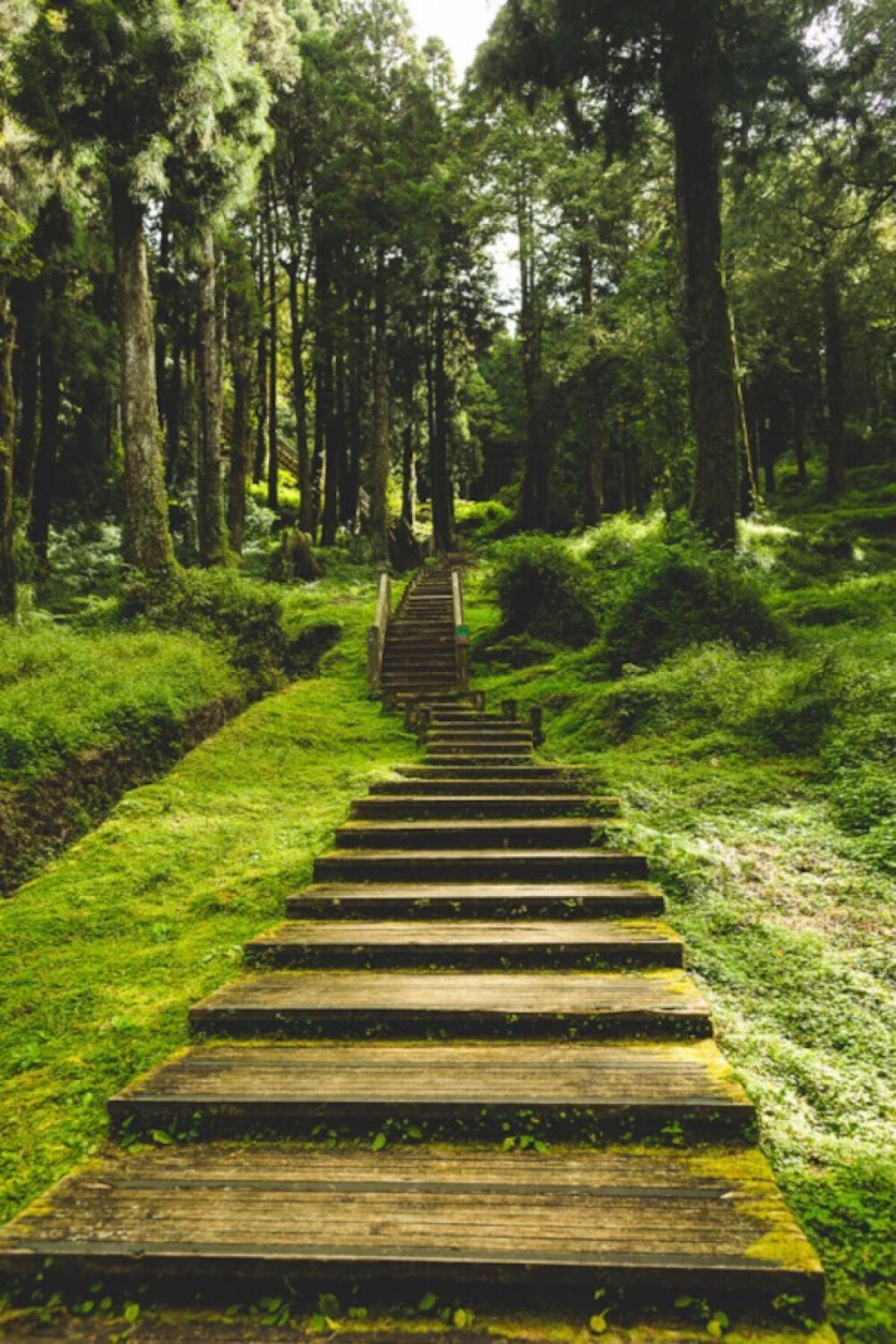 Alishan National Scenic Area, Taiwan(by katkwan)。台湾阿里山国家风景区。在台湾流传着这样一句话：“不到阿里山，不知台湾的美丽，不知台湾的伟大，不知台湾的宝藏。”这话虽然有些言过其实，但阿里山气势之雄伟、景色之壮丽、资源之丰富，确实名不虚传。 所谓“台湾八景”之一的“阿里山”并非仅指一座山，而是指地跨南投、嘉义两县包括大武峦、祝山、塔山、对高岳等18座大山的阿里山脉风景区。区内群峰参差，溪壑纵横，既有悬岩峭壁之奇险，又有幽谷飞瀑之秀丽，其山光岚影千姿万态，茂林清泉各尽佳妙，是人间难得的胜境。