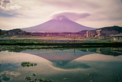 富士山