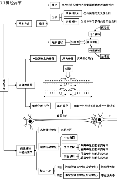 神经调节