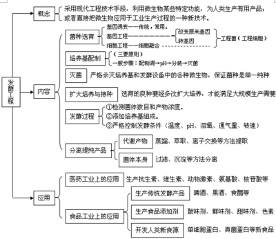 发酵工程