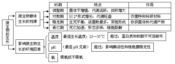 微生物的生長(zhǎng)