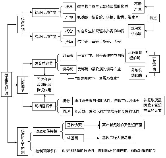 微生物的代谢