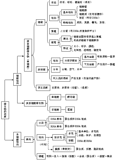 微生物的结构