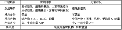 有氧呼吸和无氧呼吸