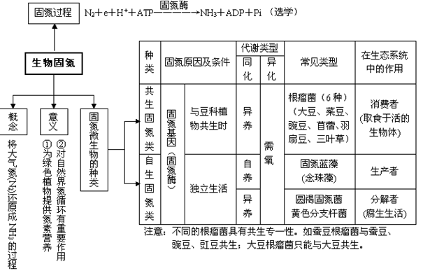 生物固氮