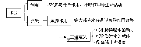 水分的利用和散失