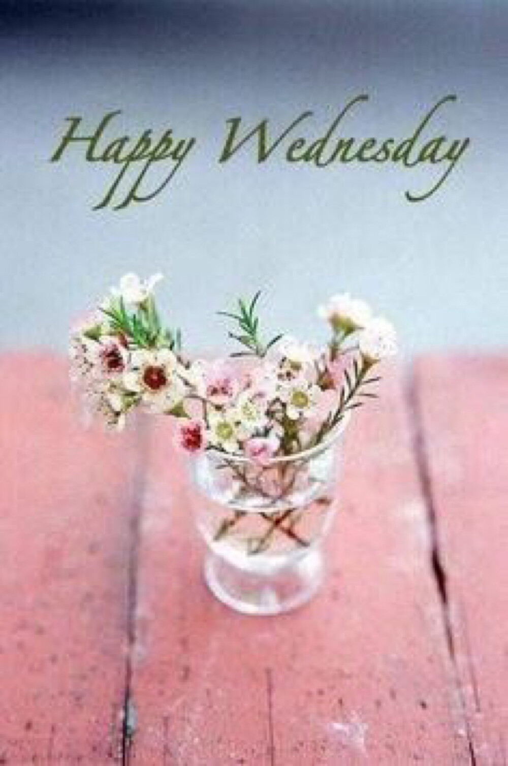 快乐星期三
Happy Wednesday 