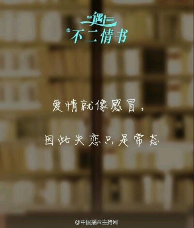 北京遇上西雅图之不二情书【台词】