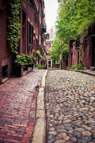 Acorn Street, Boston, Massachusetts ,USA(by Lee Costa)。美国波士顿风味小巷橡子街，位于波士顿市区Beacon Hill的深处，是根据当初殖民地的法规所设计的，也是波士顿出镜率最高的一条小街。橡子街很窄，两旁是红…