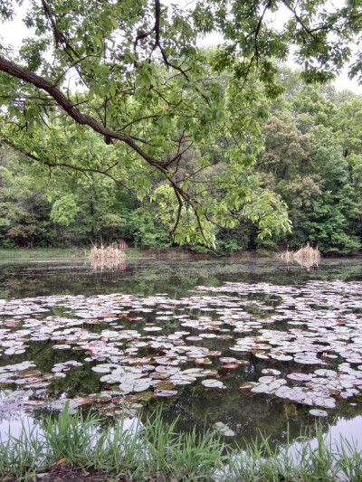 小景