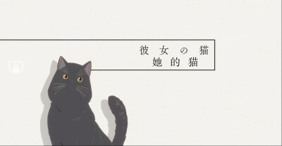 她与她的猫