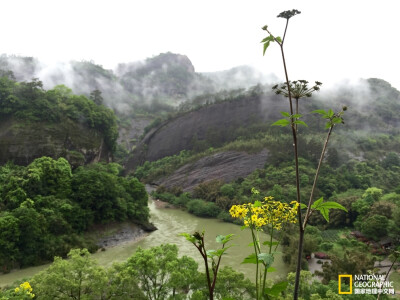 福建武夷山