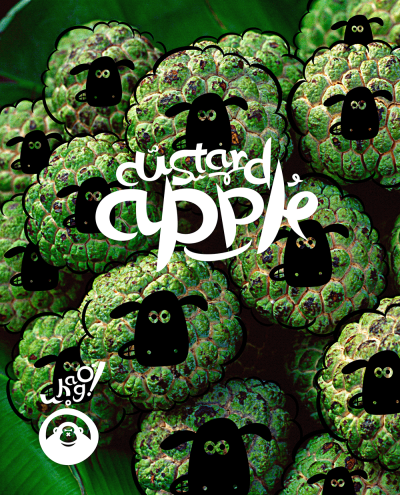 释迦custard apple